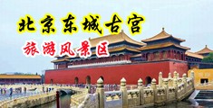 调教处女秘书中国北京-东城古宫旅游风景区