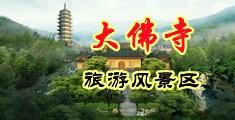 大鸡巴干嫩穴视频中国浙江-新昌大佛寺旅游风景区